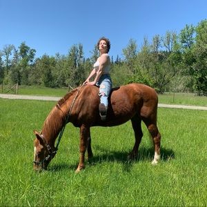 Meet your Posher, Ollie